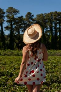 Foxy Flamingo Boutique photo