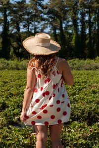 Foxy Flamingo Boutique photo