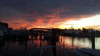 Sea Hunter 2 Sportfishing Charters photo