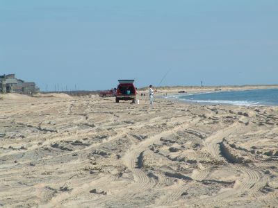 Diamond Shoals Restaurant &amp; Sushi Bar photo