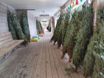 Ocracoke Variety Store photo