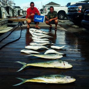 Sea Hunter 2 Sportfishing Charters photo