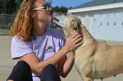Outer Banks SPCA photo