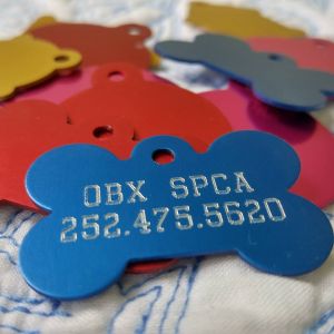 Outer Banks SPCA photo