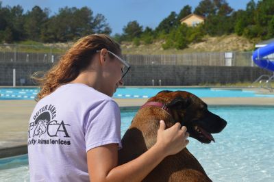 Outer Banks SPCA photo