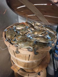 Fat Crabs Rib Company photo