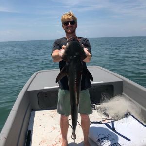 OBX Bait &amp; Tackle Corolla Outer Banks photo