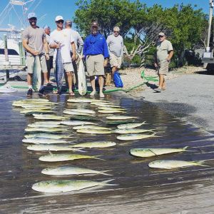 Sea Hunter 2 Sportfishing Charters photo