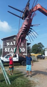 Native Seafood photo