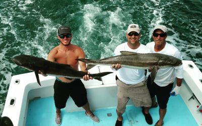 Sea Hunter 2 Sportfishing Charters photo