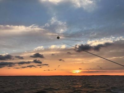 Corolla &amp; Duck Parasail photo