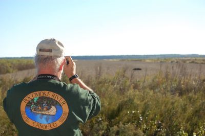 Alligator River National Wildlife Refuge photo