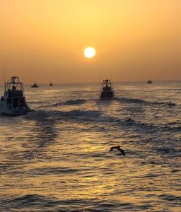 OBX Bait &amp; Tackle Corolla Outer Banks photo