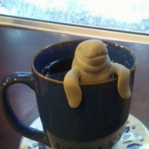 Magic Bean Coffee Bazaar photo