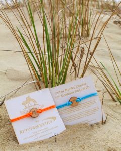 Kitty Hawk Kites photo