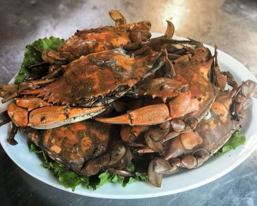 Diamond Shoals Restaurant &amp; Sushi Bar photo