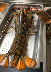 Diamond Shoals Restaurant &amp; Sushi Bar photo