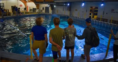 North Carolina Aquarium on Roanoke Island photo