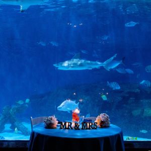 North Carolina Aquarium on Roanoke Island photo