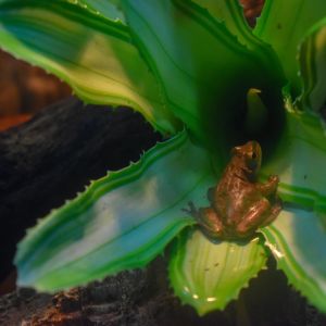 North Carolina Aquarium on Roanoke Island photo