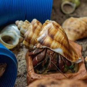 North Carolina Aquarium on Roanoke Island photo