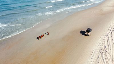 Wild Horse Adventure Tours photo