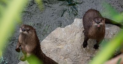 North Carolina Aquarium on Roanoke Island photo