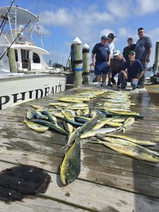 Outer Banks Fishing Charters photo
