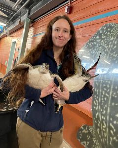 North Carolina Aquarium on Roanoke Island photo