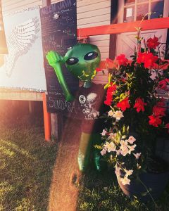 Alien Java Co. photo
