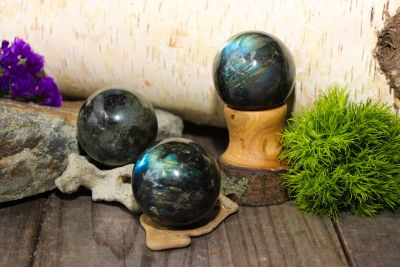 Traveler's Moon photo