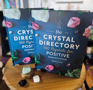 Traveler's Moon photo