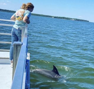 Captain Johnny’s Dolphin Tours photo