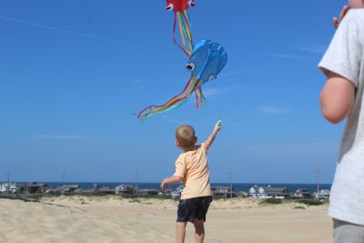 Kitty Hawk Kites photo