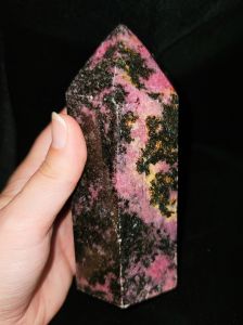 Traveler's Moon photo