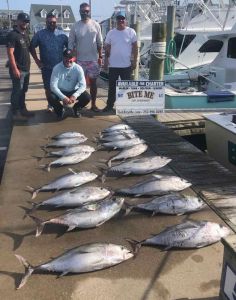 Bite Me Sportfishing Charters photo