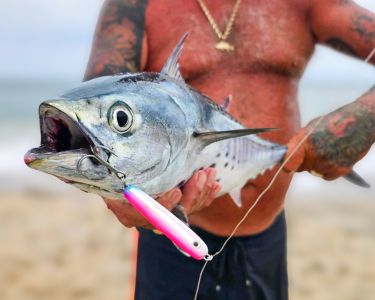 Red Drum Tackle Shop photo