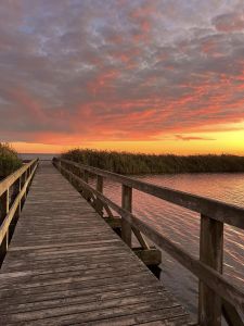 Whalehead photo