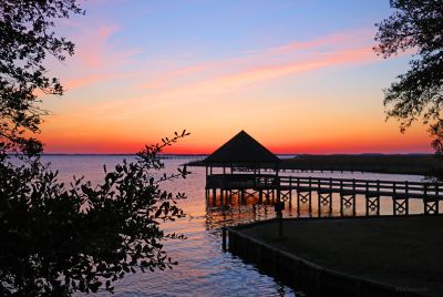 Whalehead photo