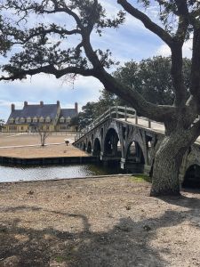 Whalehead photo