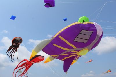 Kitty Hawk Kites photo