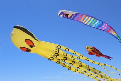 Kitty Hawk Kites photo