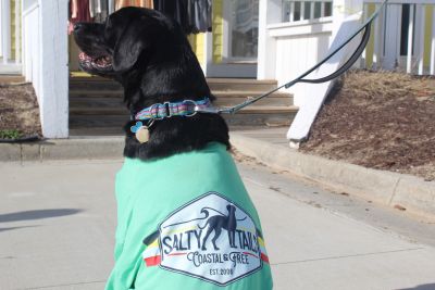 Kitty Hawk Kites photo