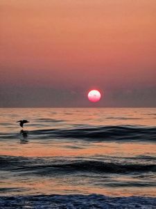 Just For the Beach Rentals photo