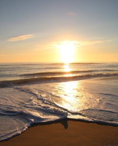 The Northern Outer Banks photo