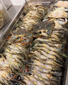 Bonzer Shack Bar &amp; Grill photo