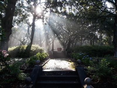 Elizabethan Gardens photo