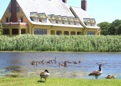 Whalehead photo
