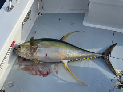 Phideaux Fishing Charters Outer Banks photo