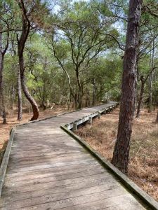 The Northern Outer Banks photo